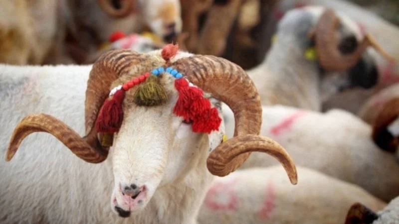 2026 Kurban Bayramı Arefe Günü Ne Zaman?2