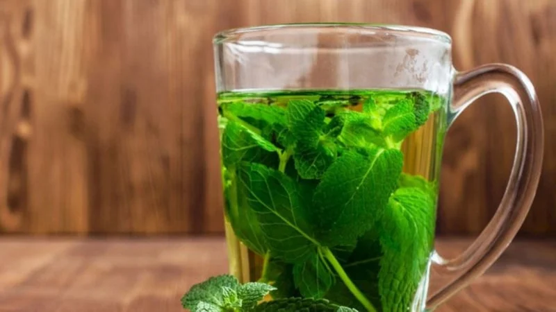 Nane suyu içmenin 5 önemli faydası 1