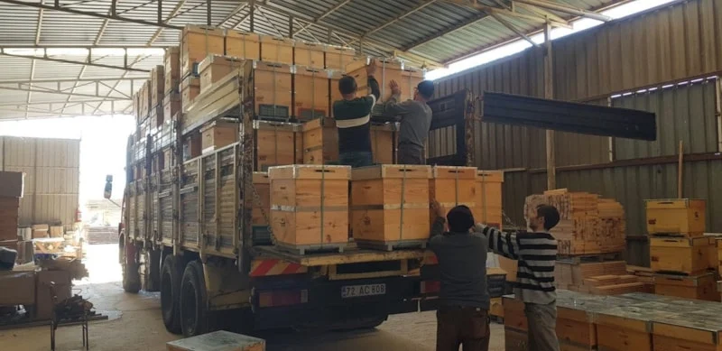 Aydın Kuyucak’ta Üretilen Arı Kovanları Dünya Pazarında 1