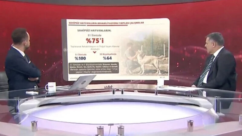 Bakan Çiftçi Sokak Hayvanlarının Yüzde 75’I Toplandı (4)