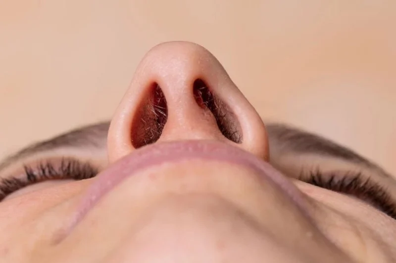 Burun Kılları Tozlu Havaya Karşı Daha Aktif Olacak1