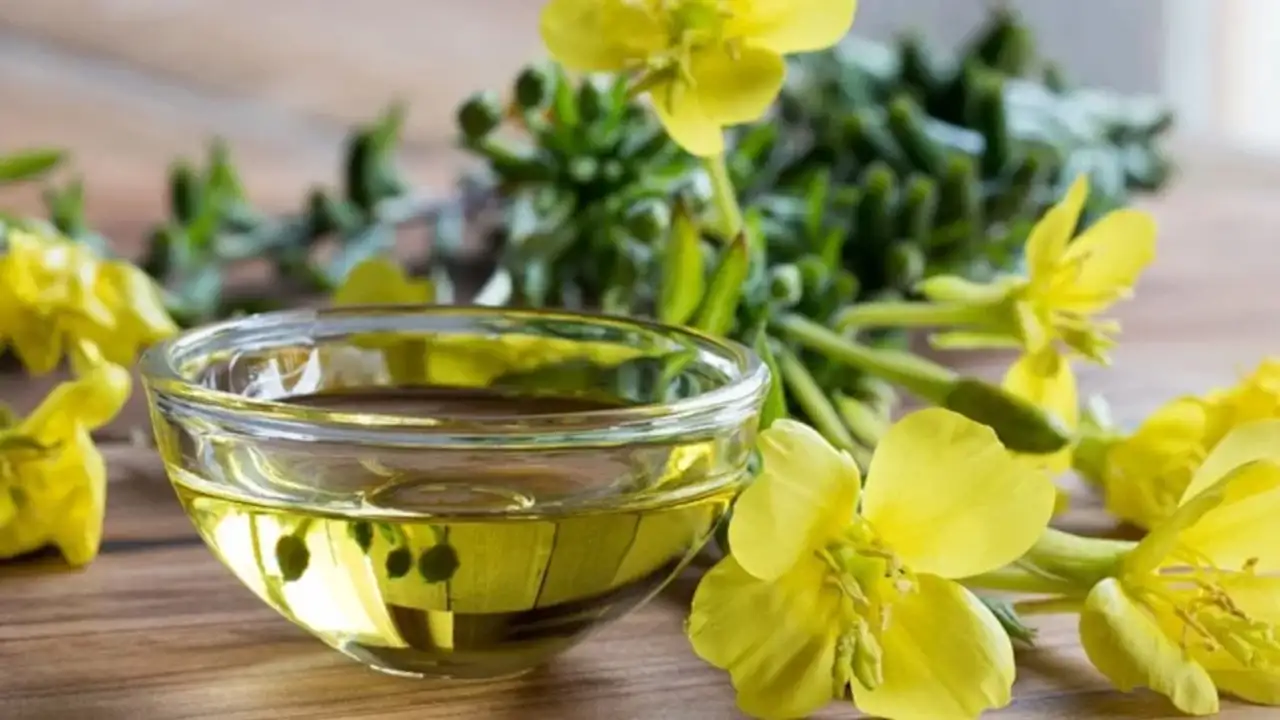 Çuha Çiçeği Yağı Faydalarıyla Dikkat Çekiyor 1