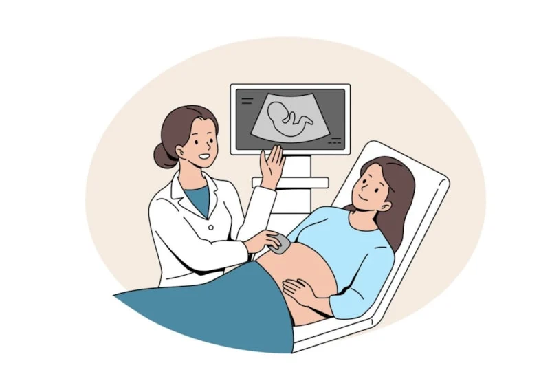 Gebeliğin 15. Haftası Gelişim Hız Kazanıyor