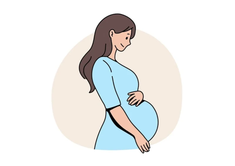 Gebeliğin 15. Haftası Gelişim Hız Kazanıyor2