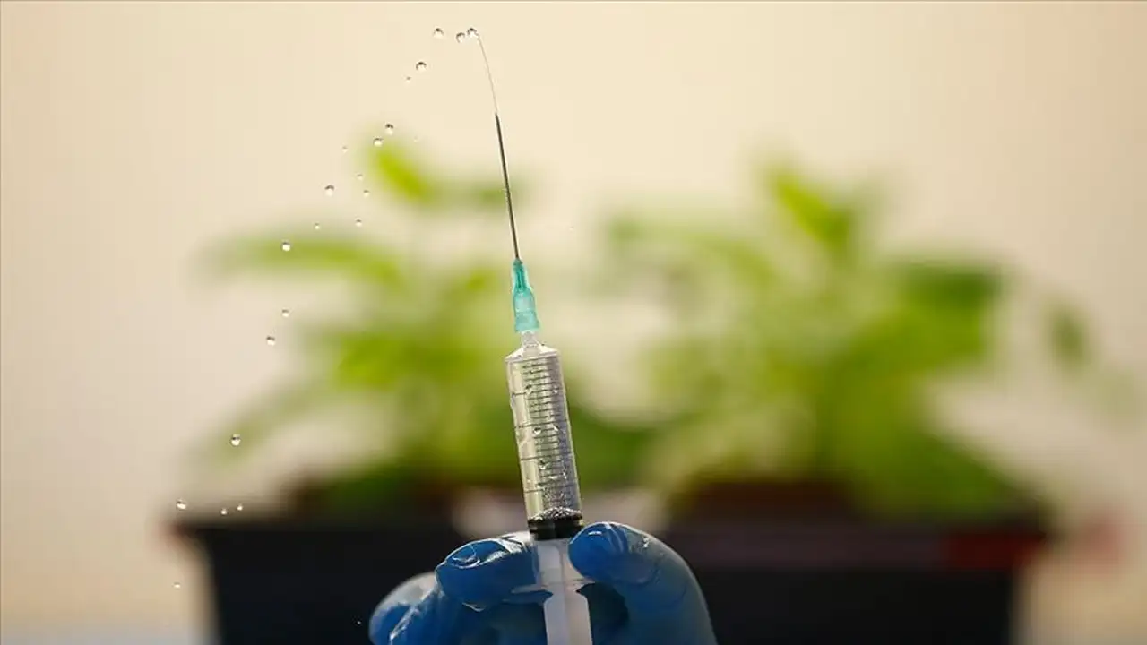 Hepatit Aşısında Yerli Üretim Dönemi Başladı Son 1