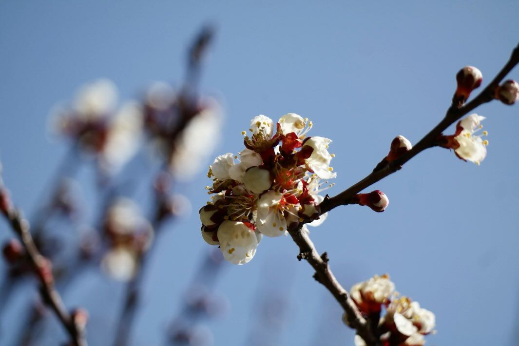 Kütahya Dpü’den Öğrencilere Sınav Dönemi Mesajı