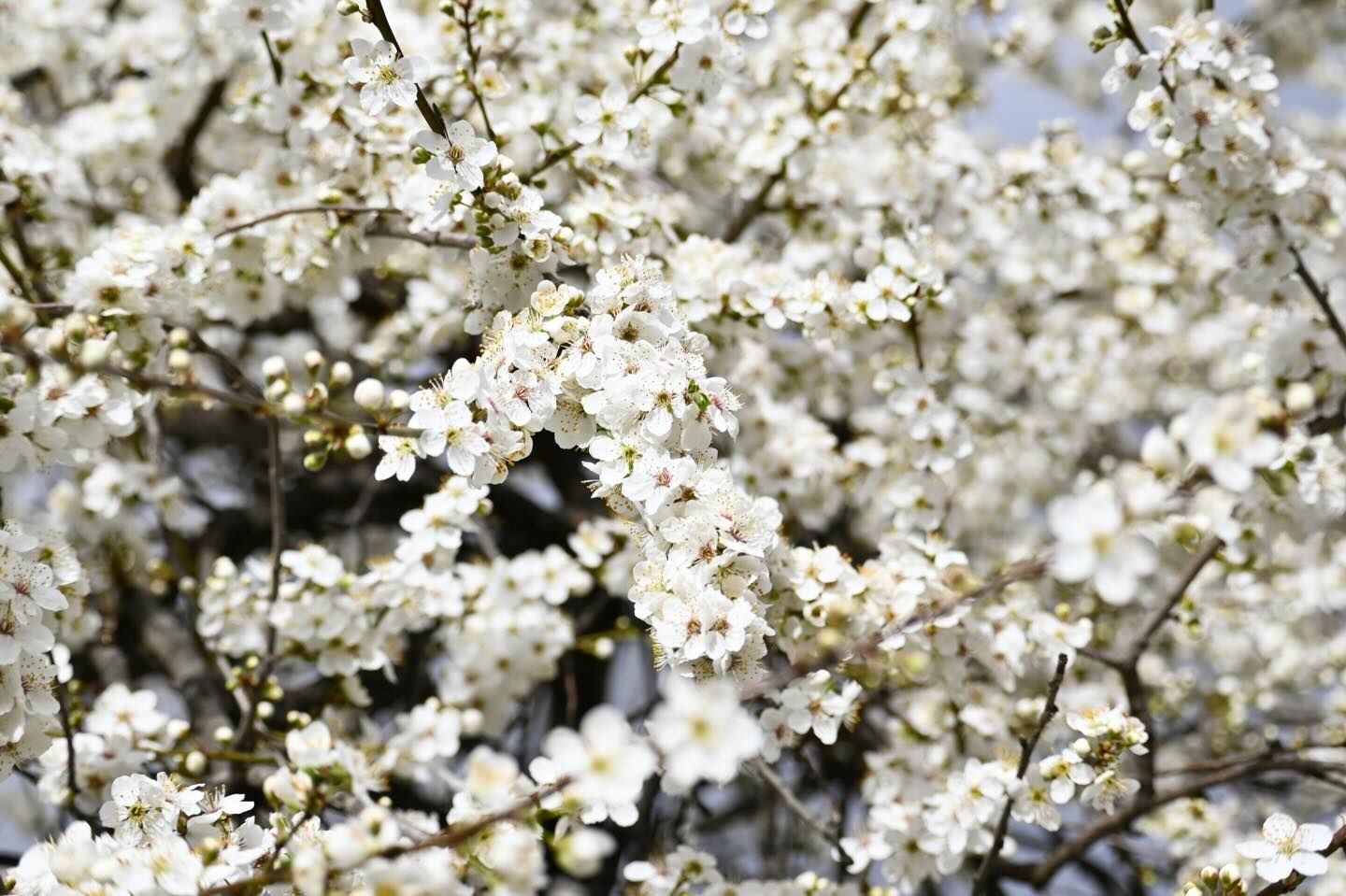 Kütahya Dpü’den Öğrencilere Sınav Dönemi Mesajı1