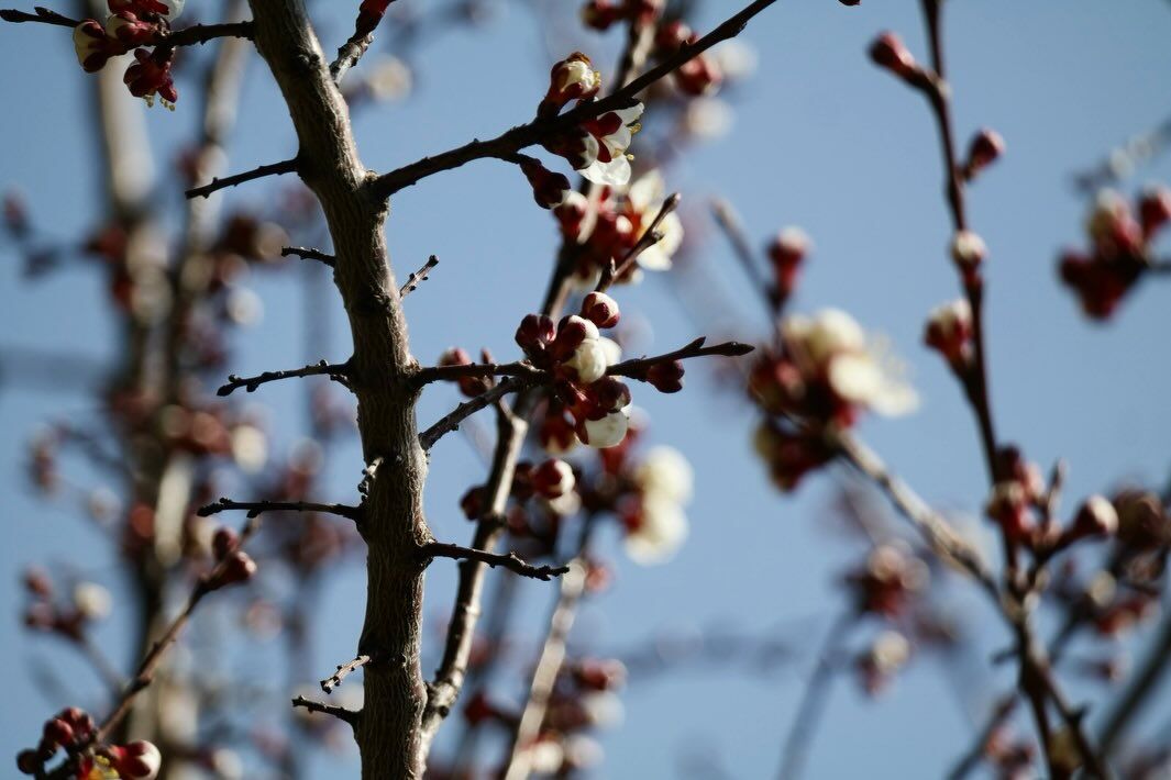Kütahya Dpü’den Öğrencilere Sınav Dönemi Mesajı2