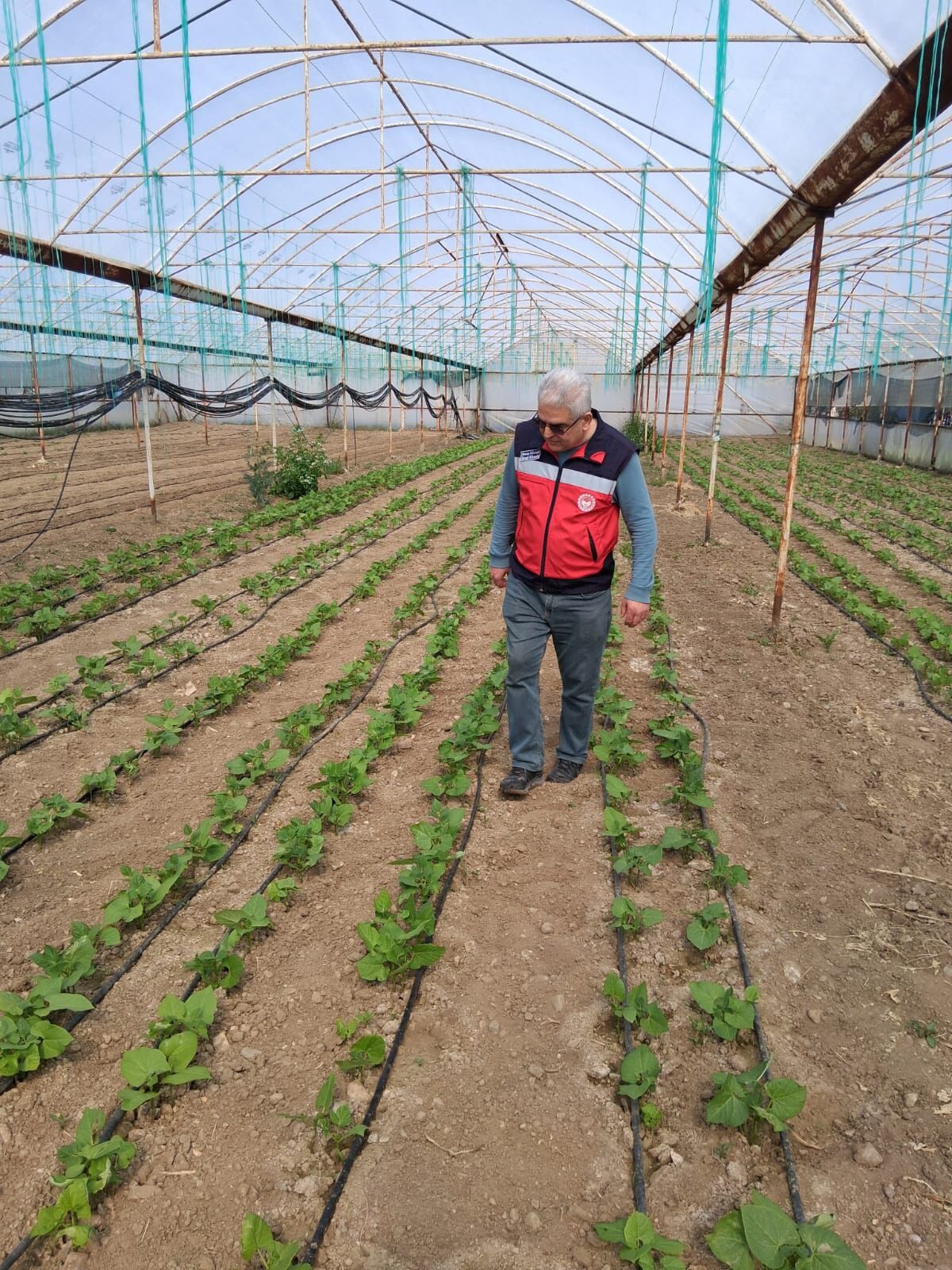 Kütahya Gediz’de Çiftçilere Zirai Don Uyarısı Yapıldı