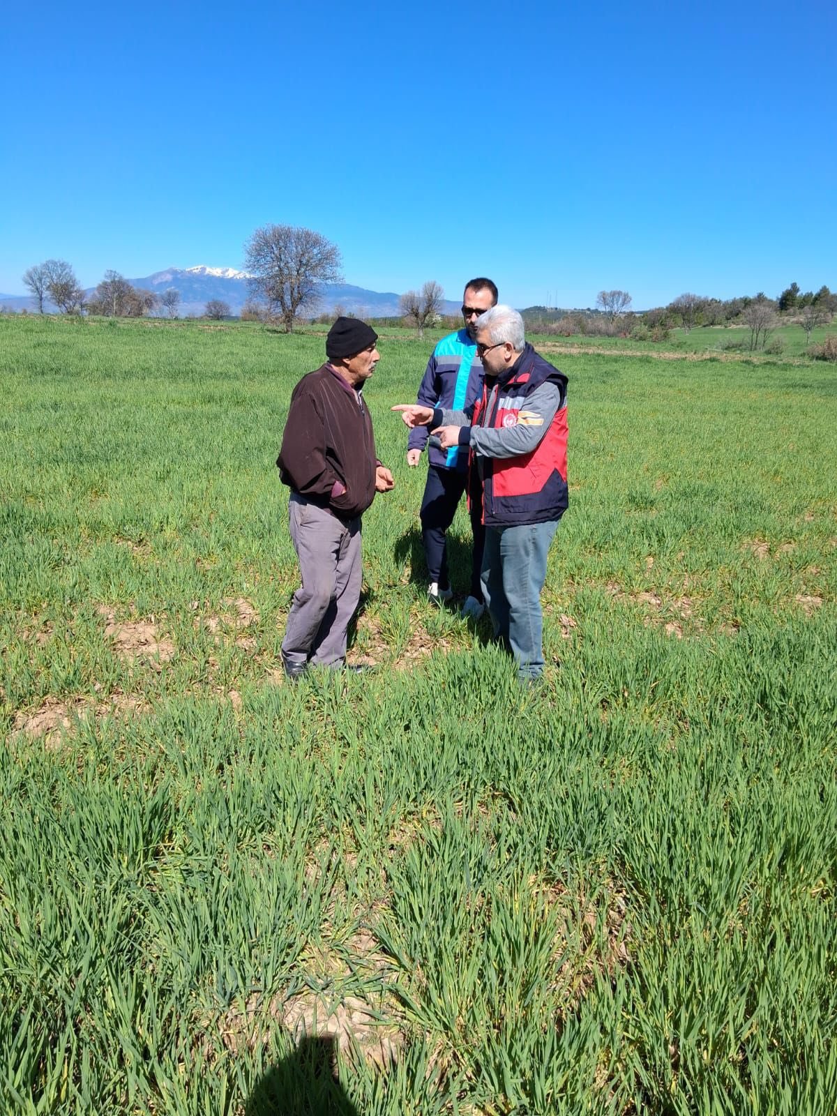 Kütahya Gediz’de Hububat Alanlarında Hastalık Kontrolleri2