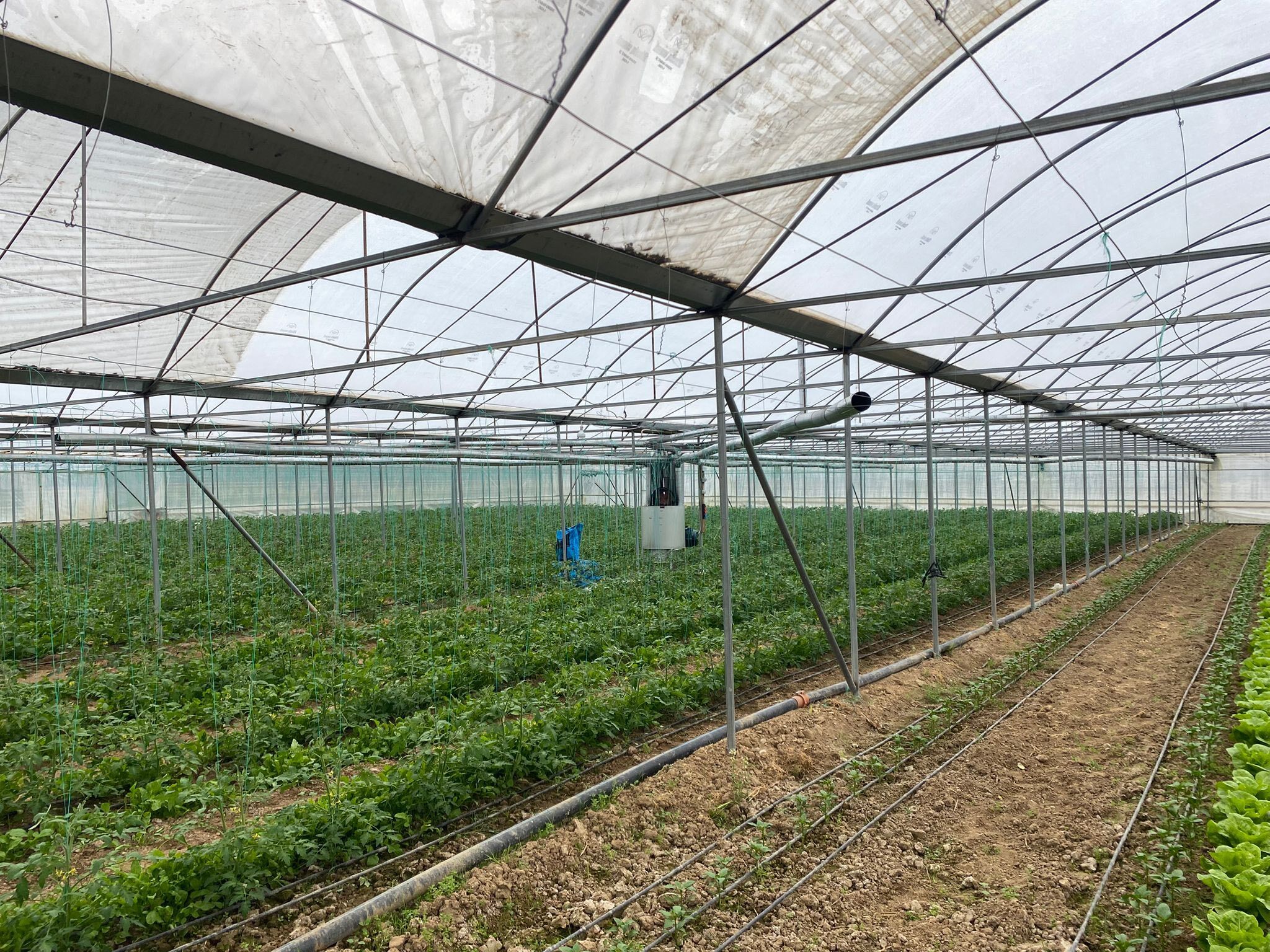 Kütahya Gedizde Sera Üreticilerine Don Uyarısı1