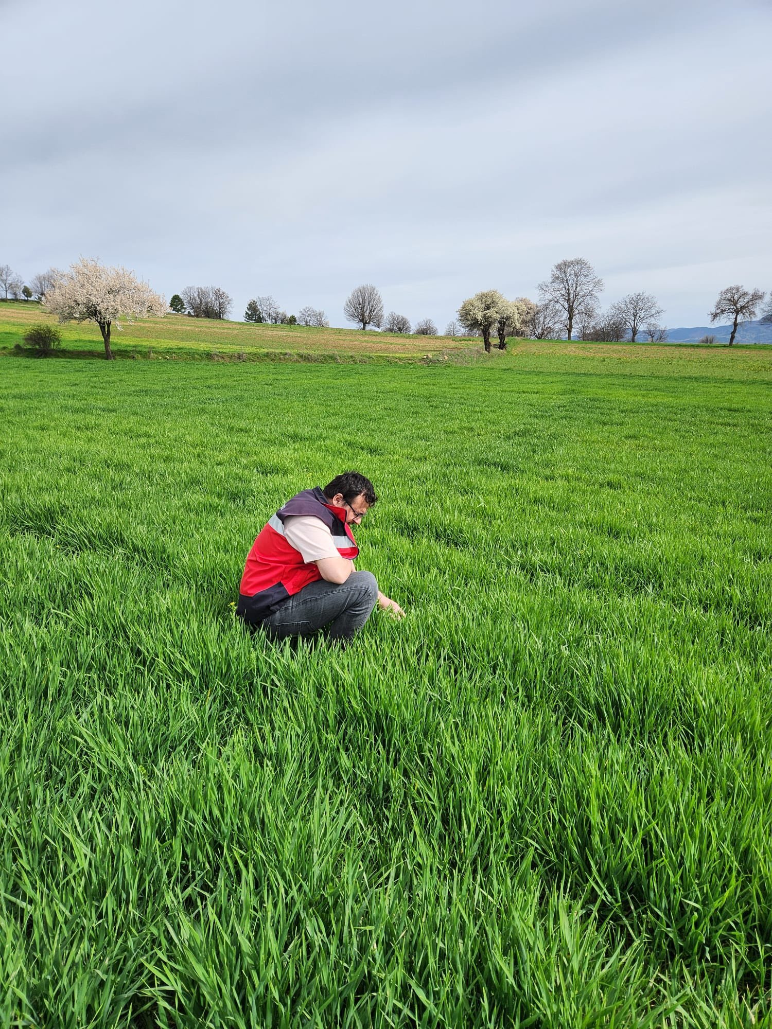 Kütahya Hisarcık’ta Tarımsal Saha Çalışmaları Yürütüldü3