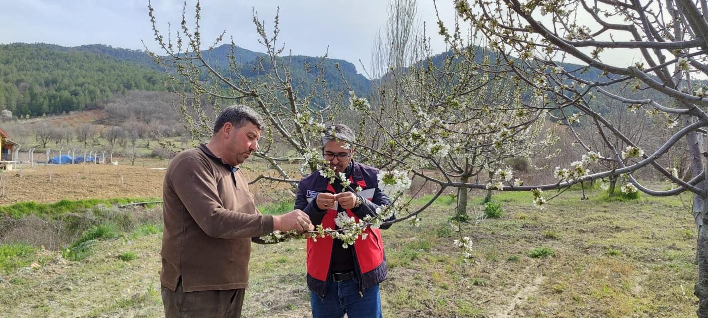Kütahya Şaphane’de zirai don kontrolleri tamamlandı