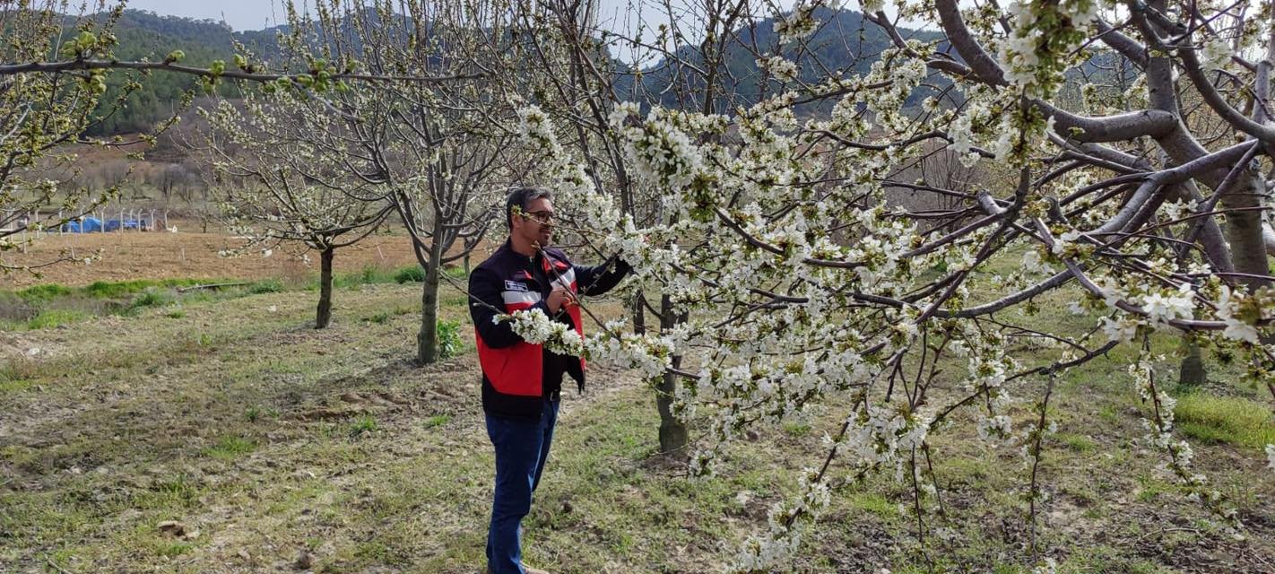 Kütahya Şaphane’de Zirai Don Kontrolleri Tamamlandı2