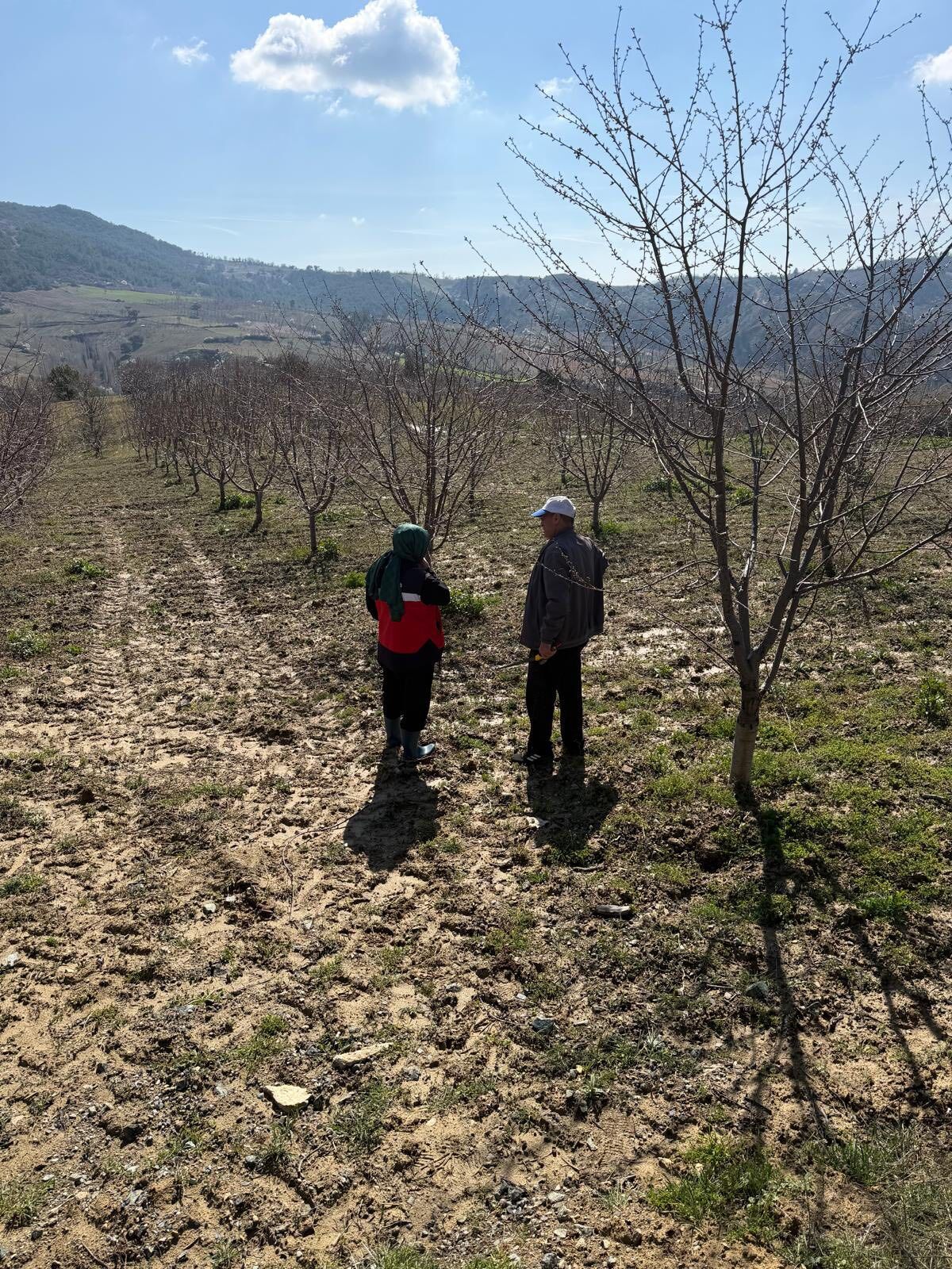 Kütahya Simav’da Üreticilere Zirai Don Uyarısı Yapıldı3