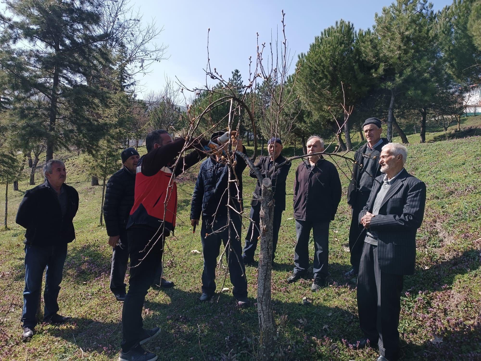 Kütahya Tavşanlı’da Üreticilere Budama Eğitimi Verildi4
