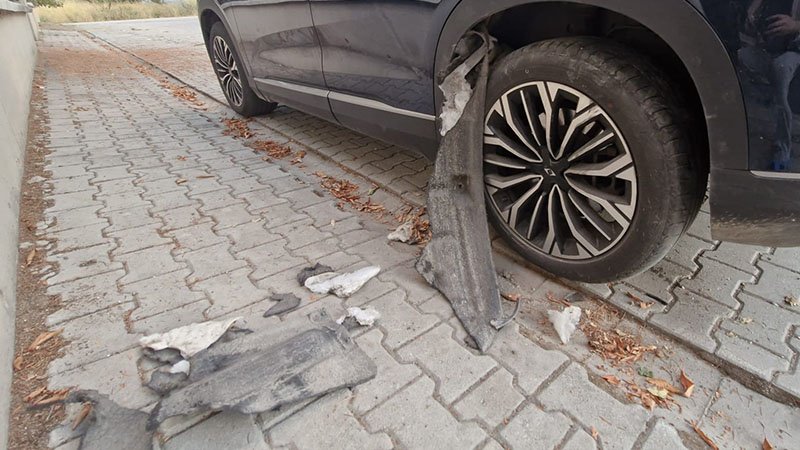 Kütahya’da Bir Mahalle, Sahipsiz Sokak Köpeklerinden Dertli (1)