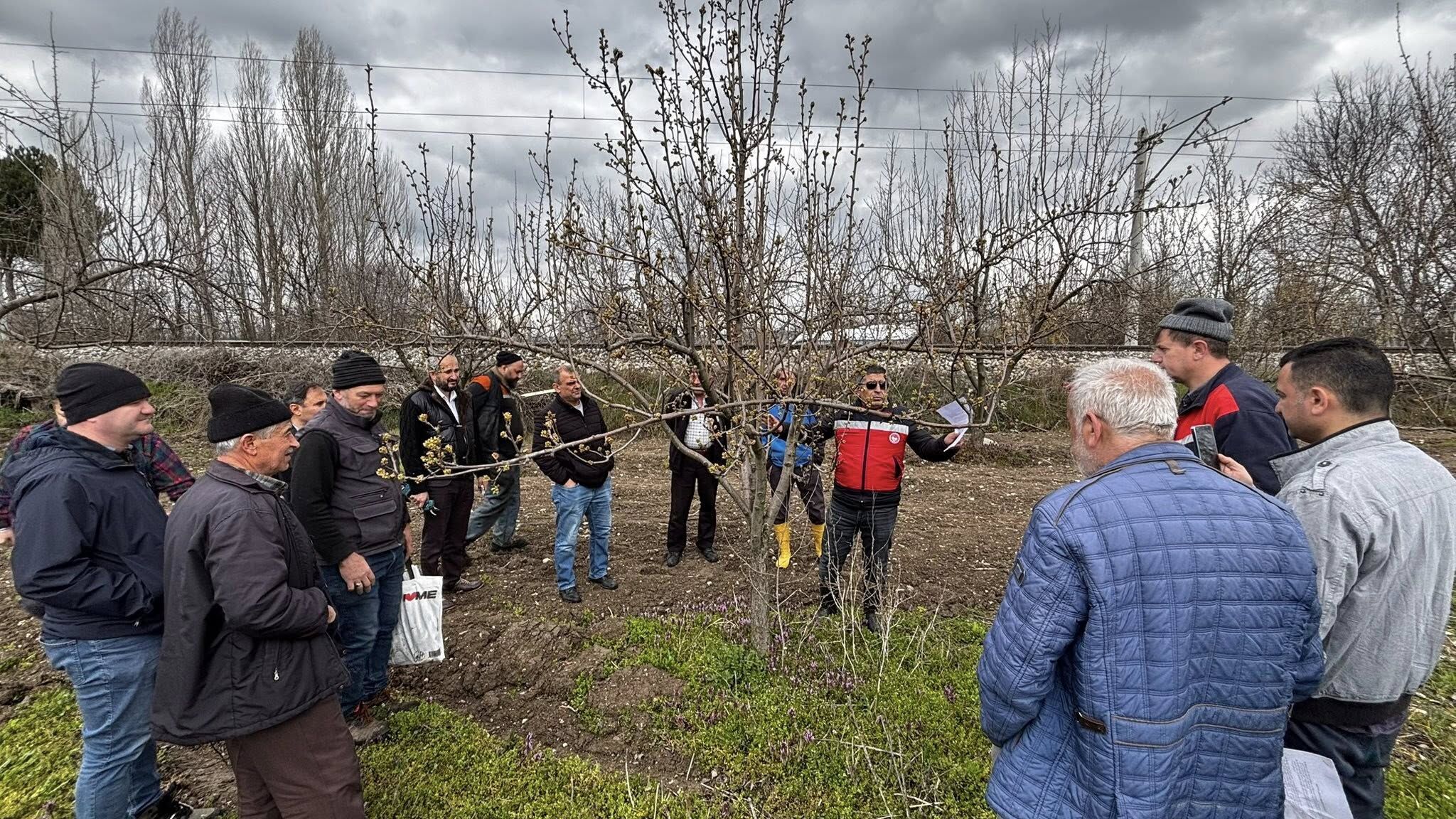 Kütahya’da Çiftçilere Budama Ve Aşılama Eğitimi3
