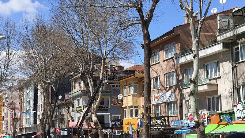 Kütahya’da Ekipler, Ağaçları Budadı, Temizlik Yaptı (2)