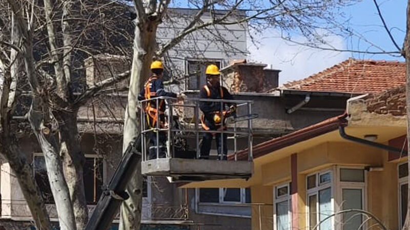 Kütahya’da Ekipler, Ağaçları Budadı, Temizlik Yaptı (3)