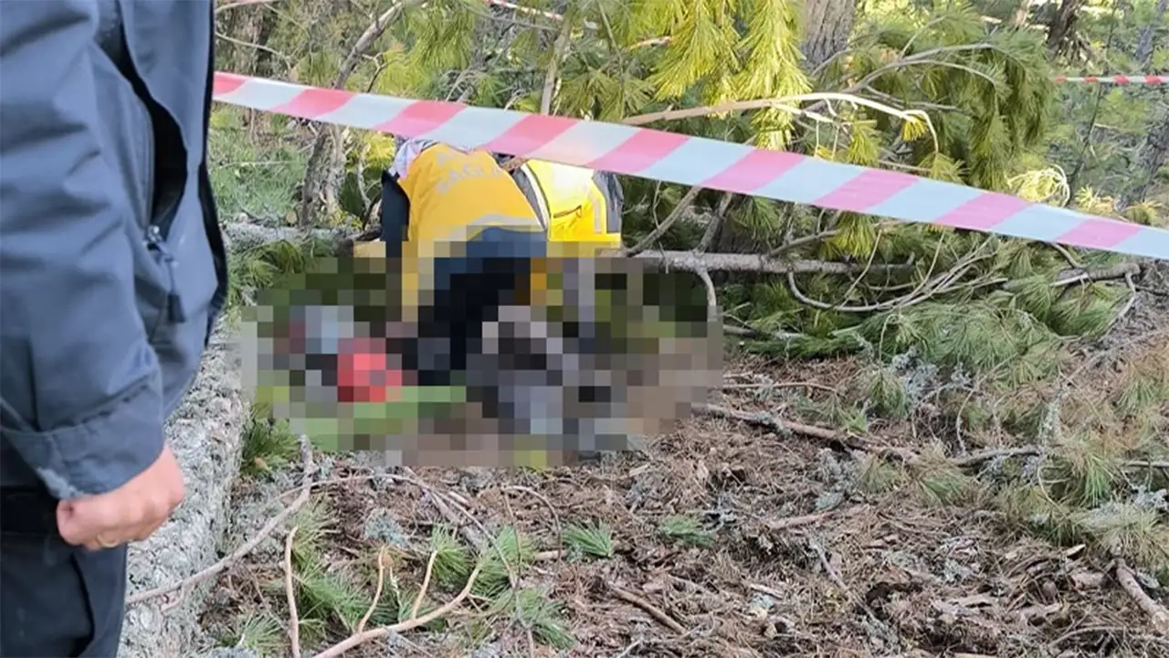 Kütahya'da Kestiği Çam Ağacının Altında Kalarak Öldü3