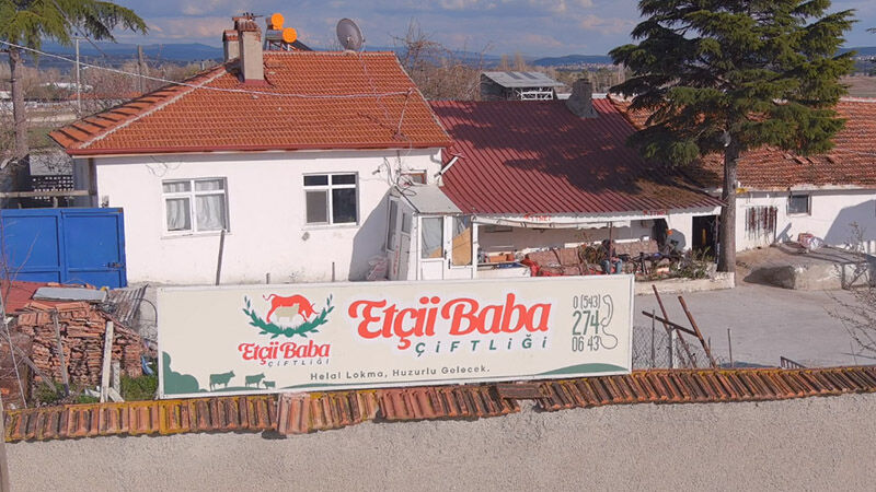 Kütahya’da Kurbanlık Hayvan Alışverişi Başladı (3)