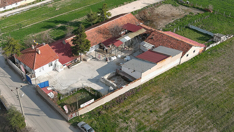 Kütahya’da Kurbanlık Hayvan Alışverişi Başladı (6)