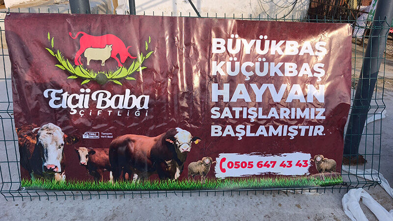 Kütahya’da Kurbanlık Hayvan Alışverişi Başladı (7)