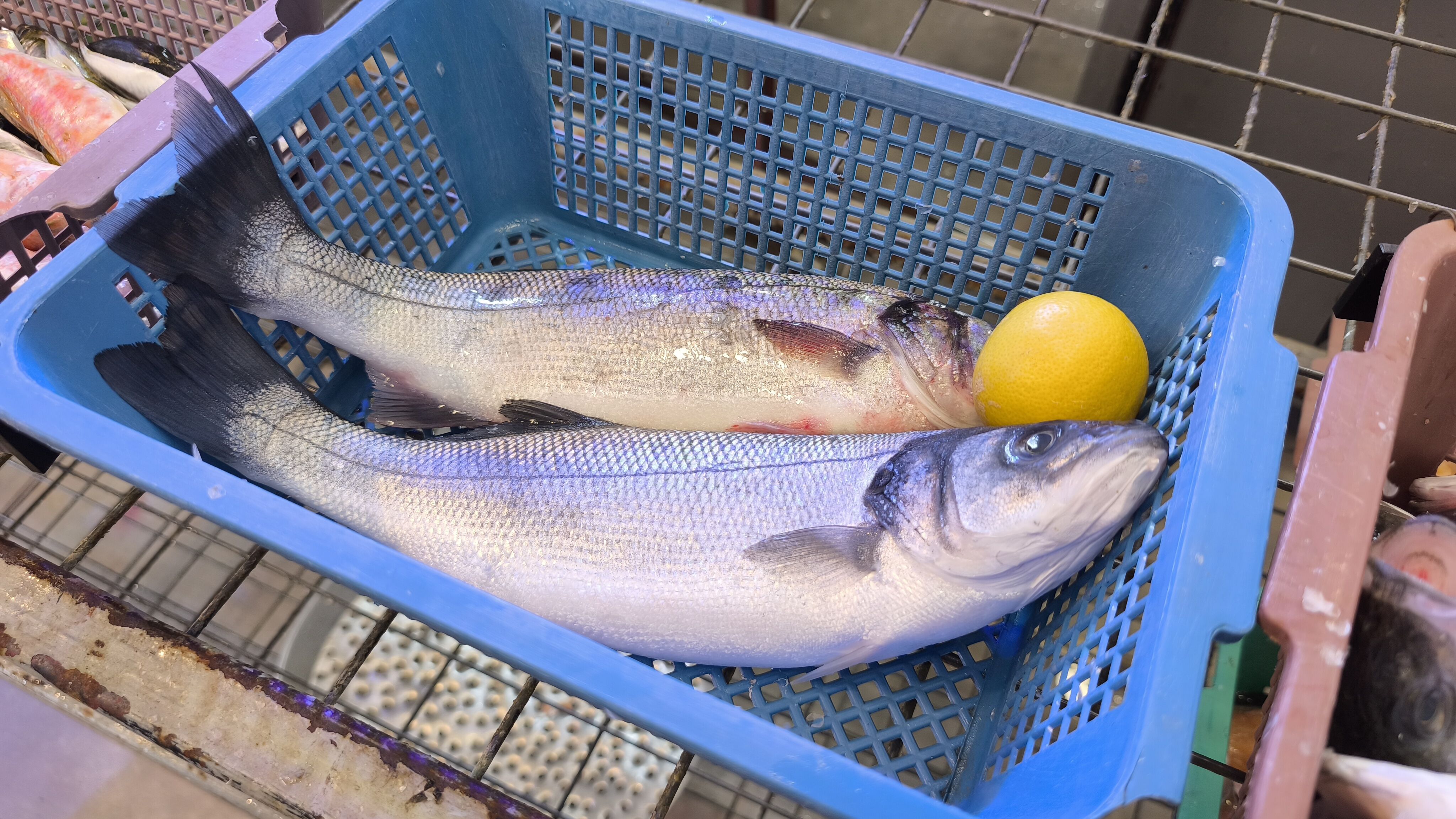 Kütahya’da Nisan Ayında Hangi Balıklar Yenir (1)