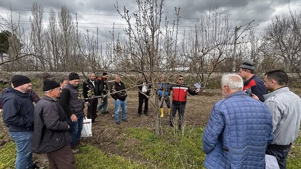 Kütahya’da Üreticilere Budama Ve Aşılama Eğitimi 3
