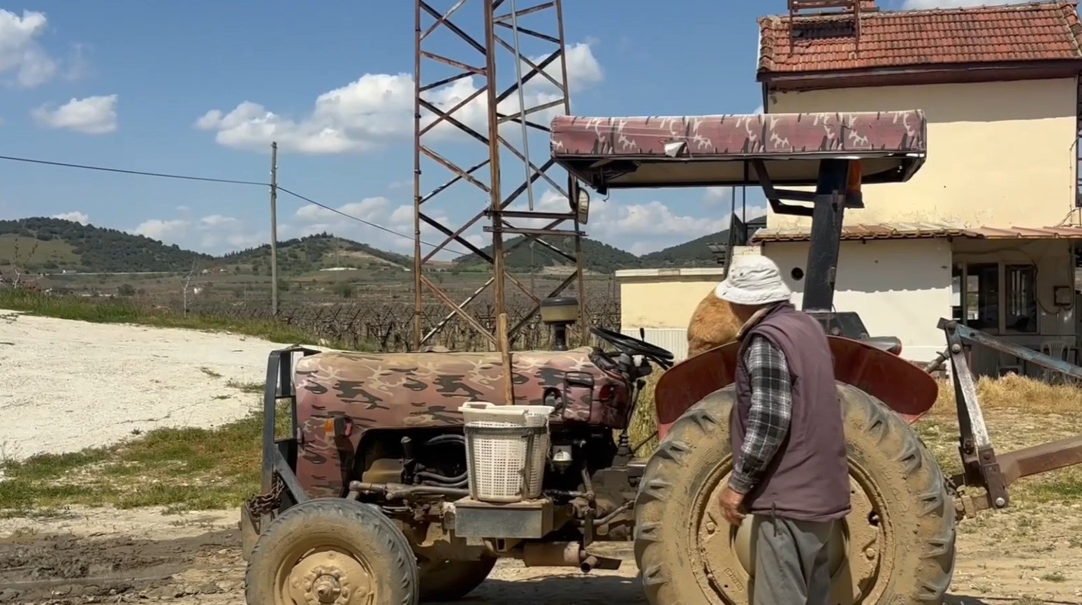 Manisa’da Köpek “Betty”, Abdullah Dedenin Yoldaşı Oldu 2