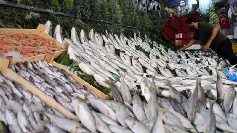 Nisan Ayında Hangi Balıklar Tüketilmeli1