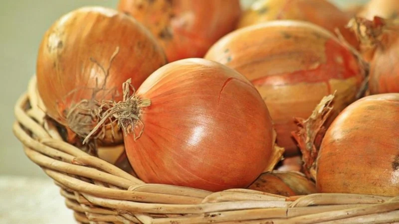 Soğan Ihracatı Ilk Çeyrekte 15 Kat Arttı