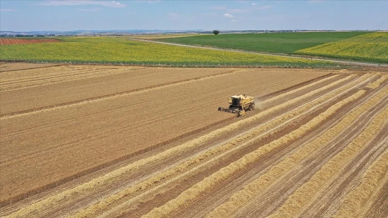 Tapuda O Detay Yoksa Tarım Yapıları Yıkılacak1