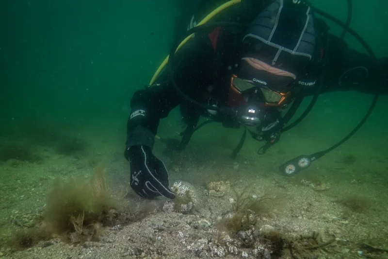 Tuzla’da Mucize Ekosistem Keşfedildi1