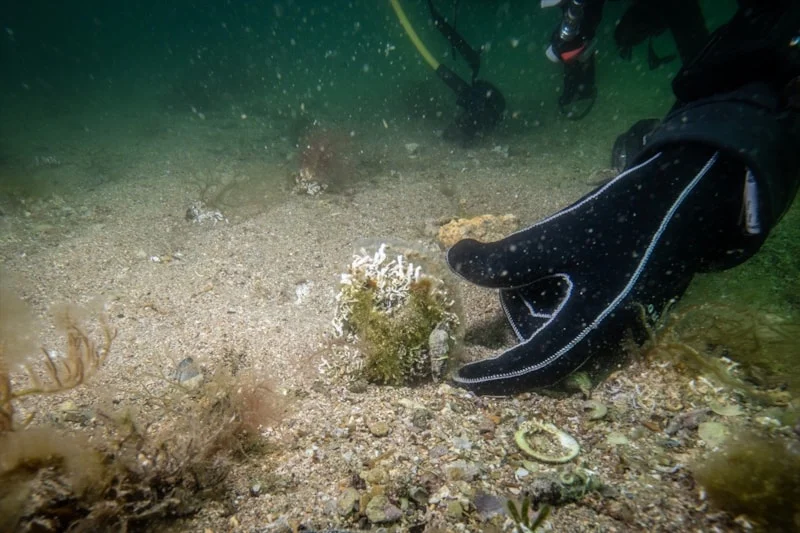 Tuzla’da Mucize Ekosistem Keşfedildi2