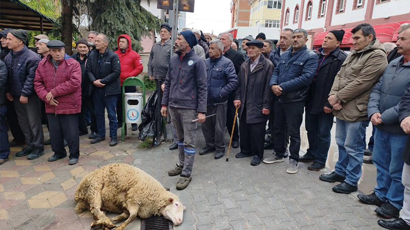 Altıntaş Belediyesi Araç Filosunu Genişletiyor (4)