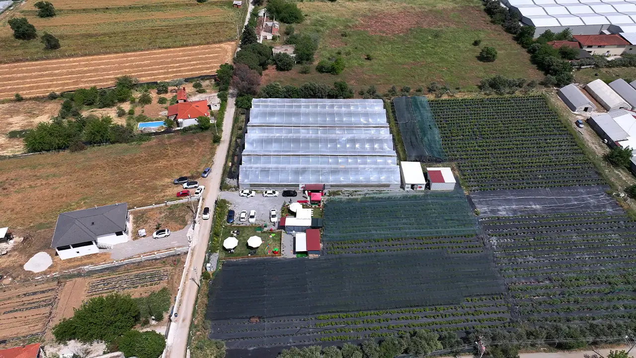 Eşinden Nakledilen Böbrekle Hayata Tutundu 1