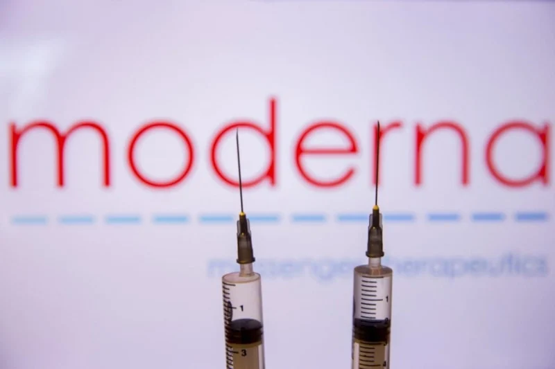 Eve Giren Sineklerin Nedeni Ortaya Çıktı4
