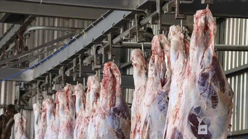 Kasaplardan Kurban Eti Için Kritik Uyarı