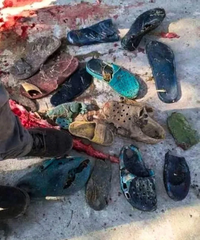 Komati Nehri’nde Timsahın Midesinden Şoke Edenler