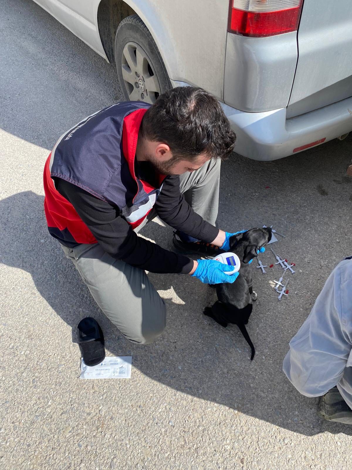 Kütahya Emet’te Kedi Ve Köpeklere Mikroçip Aşısı2