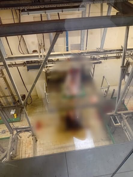 Kütahya Tavşanlı’da 60 Kursiyere Kurban Kesim Eğitimi Kursu Verildi 1
