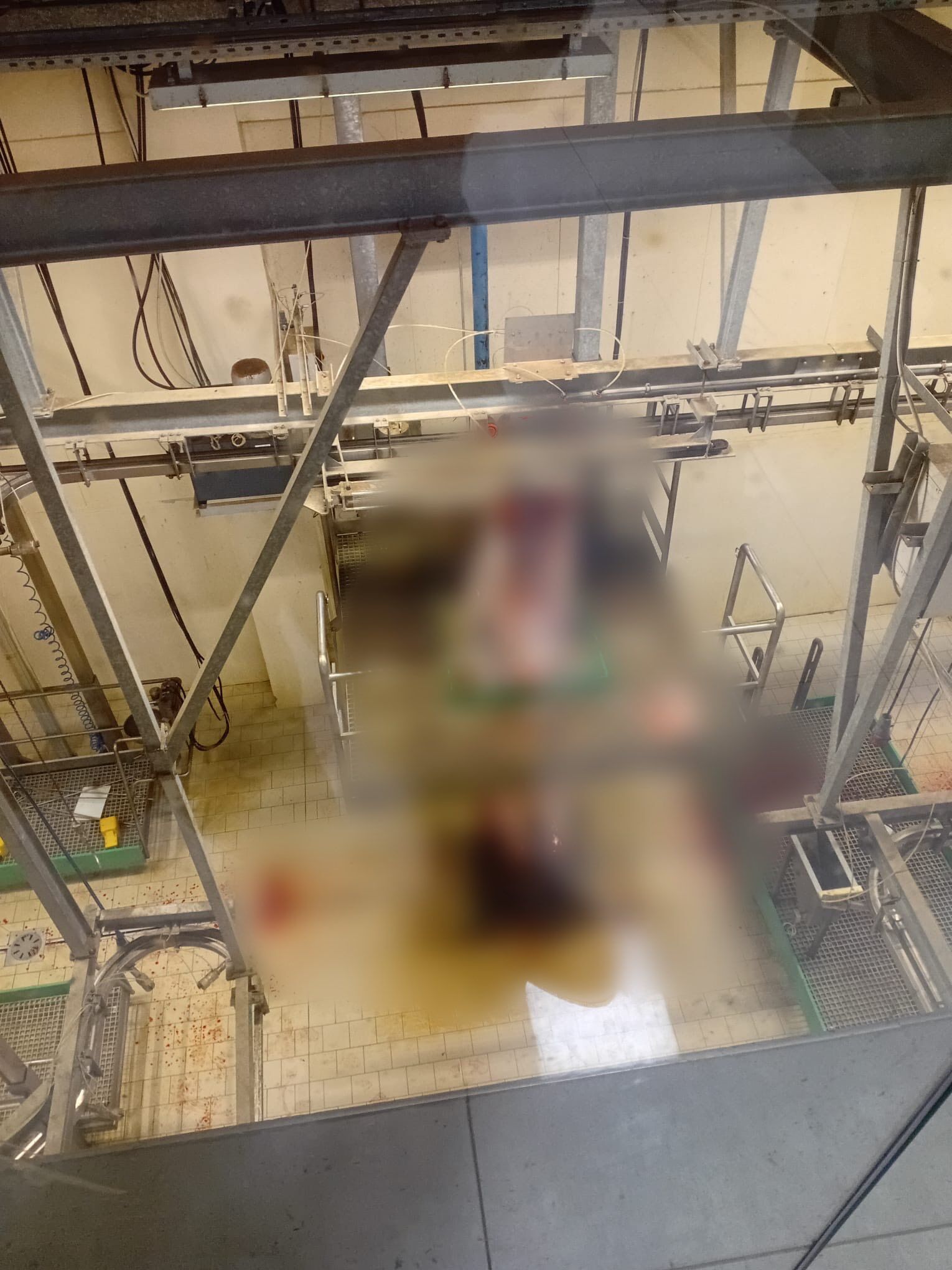Kütahya Tavşanlı’da Kurban Kesim Elemanı Kursu Düzenlendi3