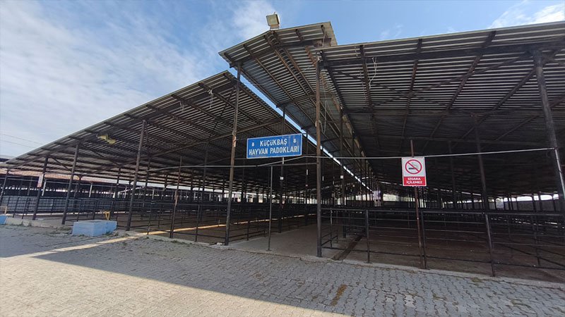 Kütahya’da Canlı Hayvan Pazarında Padok Kuraları Çekildi (2)