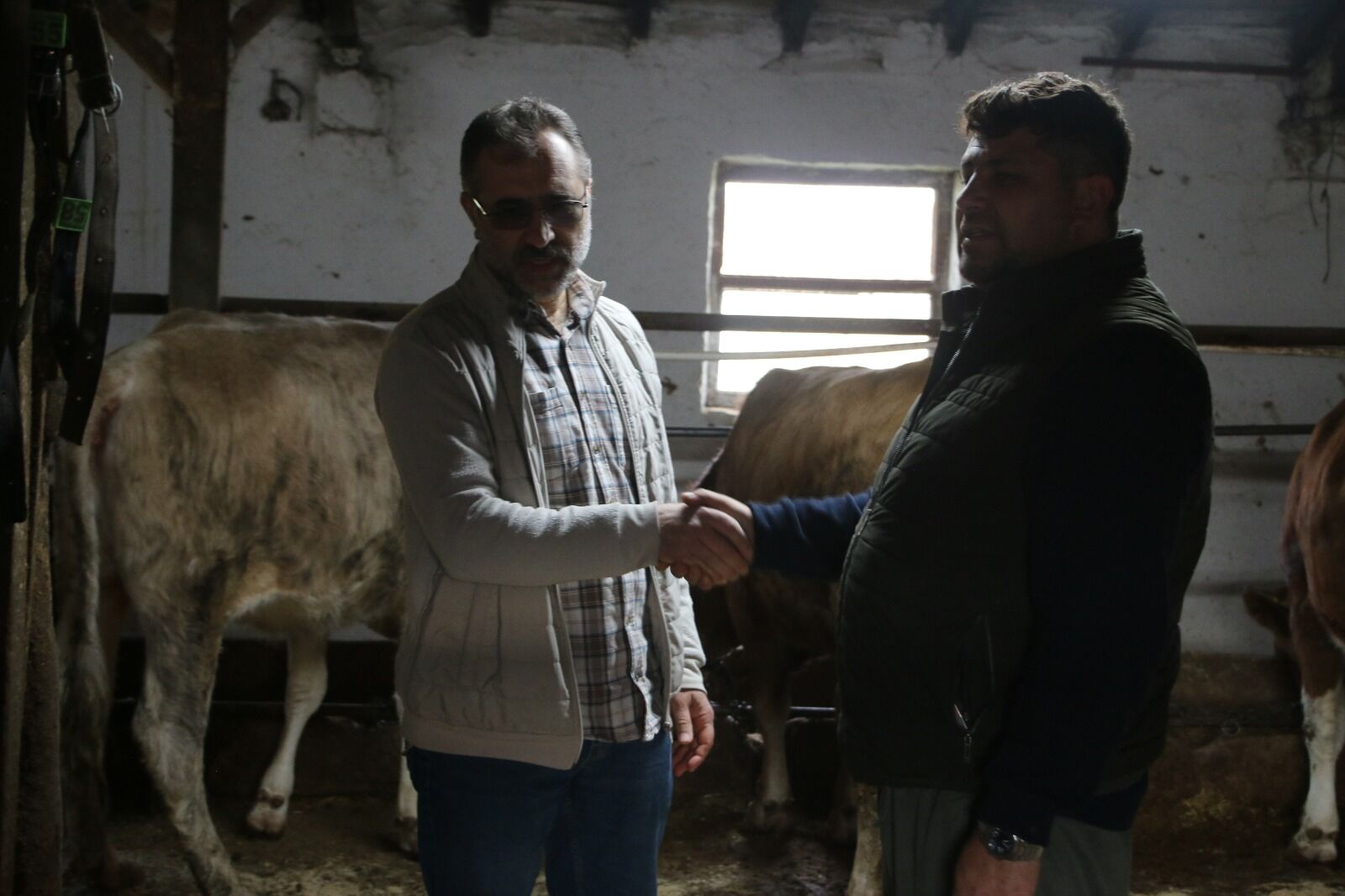 Kütahya’da Etçi Baba, Kurbanlık Satışlarında Hız Kesmiyor (5)-1