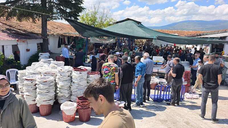 Kütahya’da Kesimhanelerde Bayram Yoğunluğu (1)