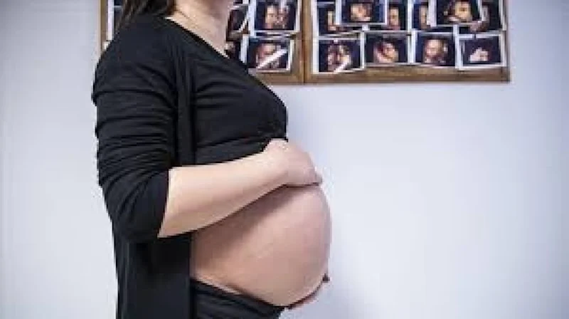Ukrayna’da Taşıyıcı Annelik Tartışması Büyüyor5