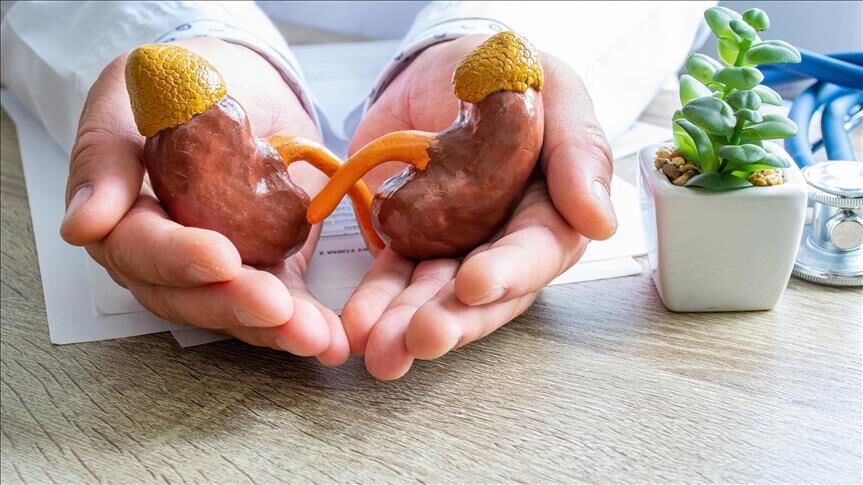 Böbrekleri Tehdit Eden 3 Sinsi Hastalığa Dikkat1