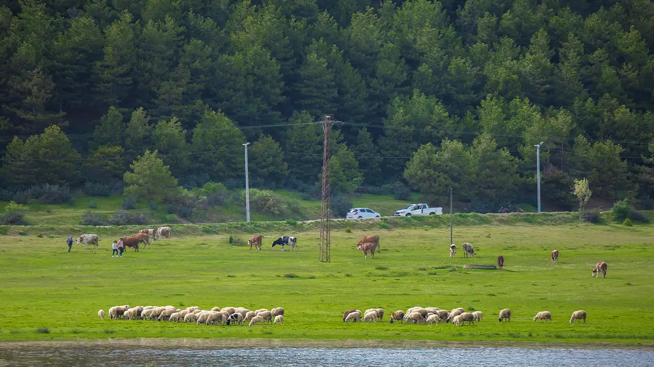 Denizli Yayla Gölü Doğal Yapısıyla Dikkat Çekiyor 2